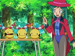 Pokemon Francesca Pokemon Francesca